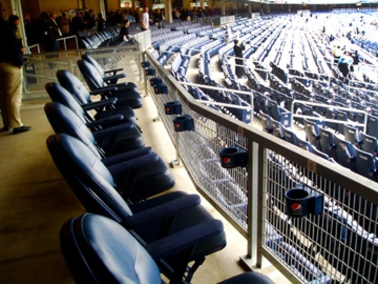 Yankee Stadium | American Galvanizers Association
