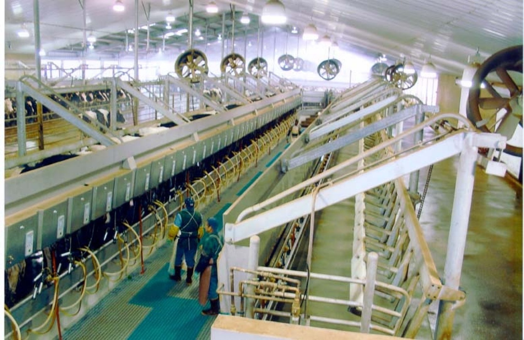 Legacy Farms Agricultural Center American Galvanizers Association