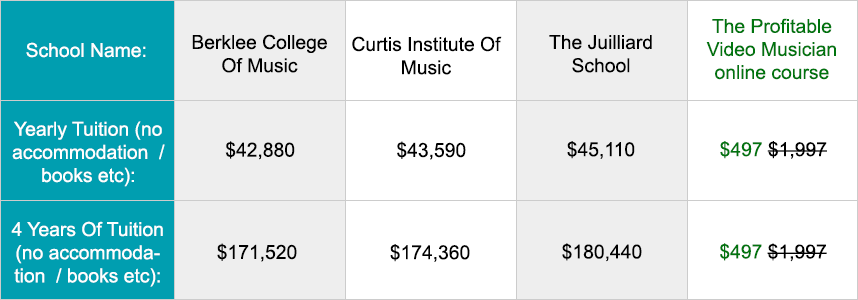 College-vs-the-Profitable-Video-Musician-course1 College vs the Profitable Video Musician course