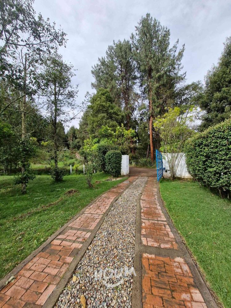 Casa de 5 alcobas en venta en Chapinero Alto, Bogotá, 430 m² · foto 3 de 24