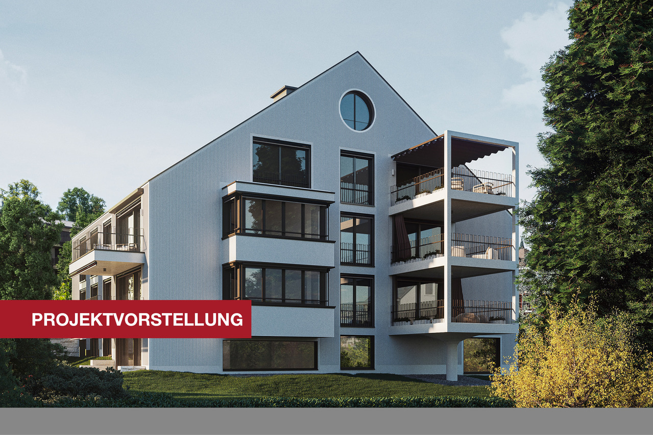 Roter Balken Projektvorstellung.jpg
