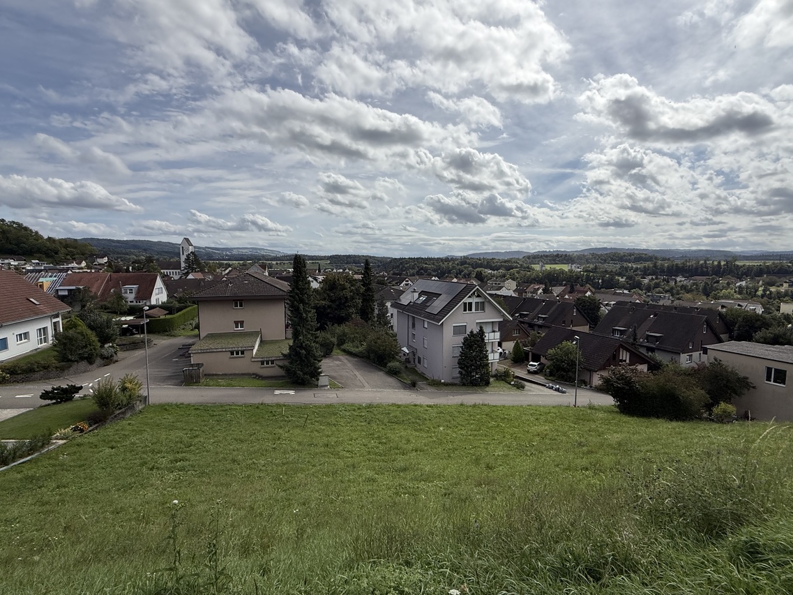 IMG_3656.jpeg