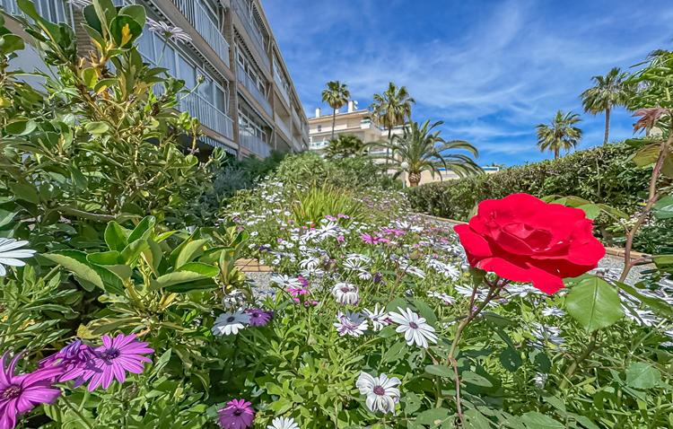 nardia_Albir_groundfloor__37__750x478.jpg
