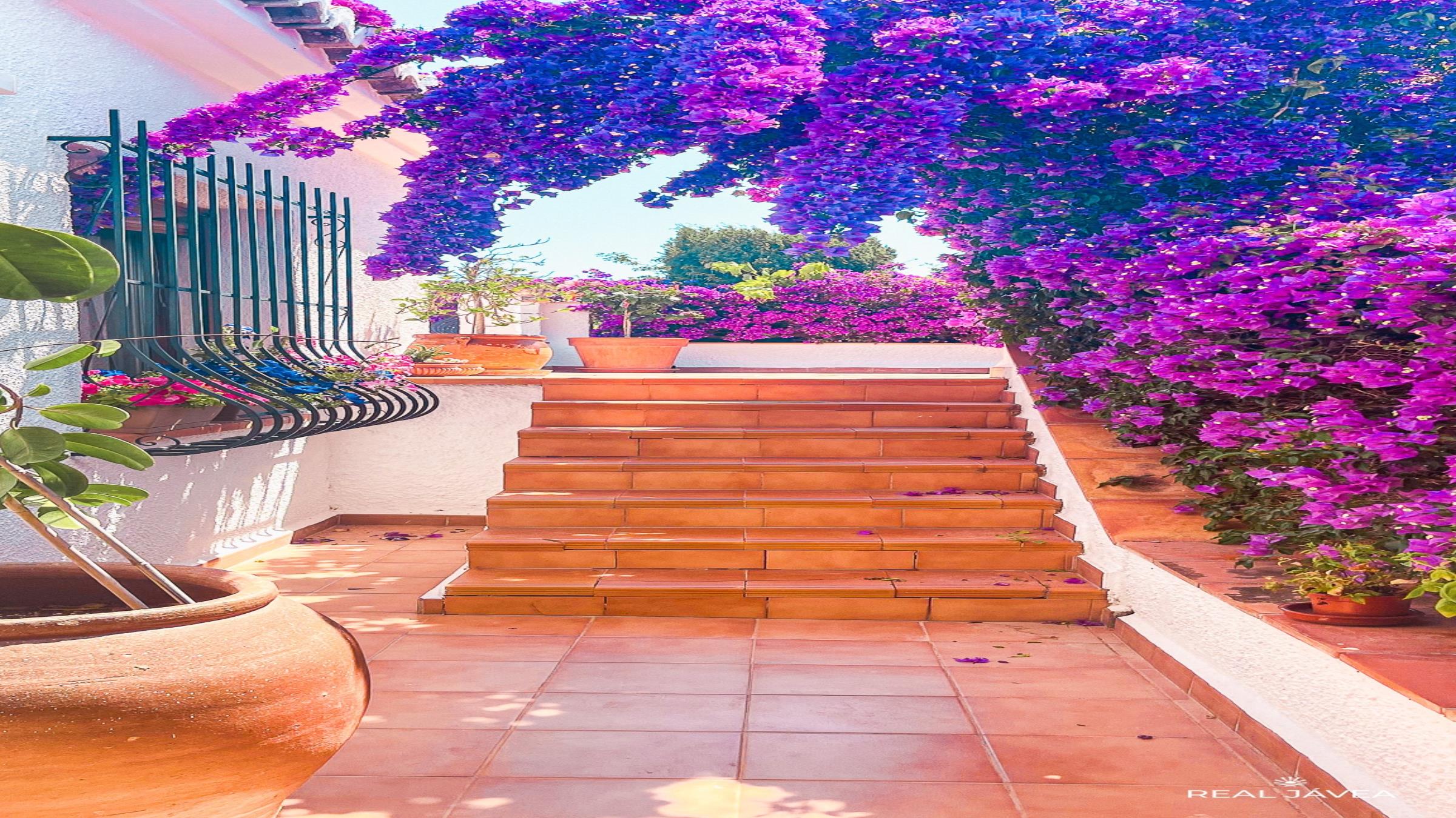 stairs_to_terrace1newsize_2400by1350.jpg