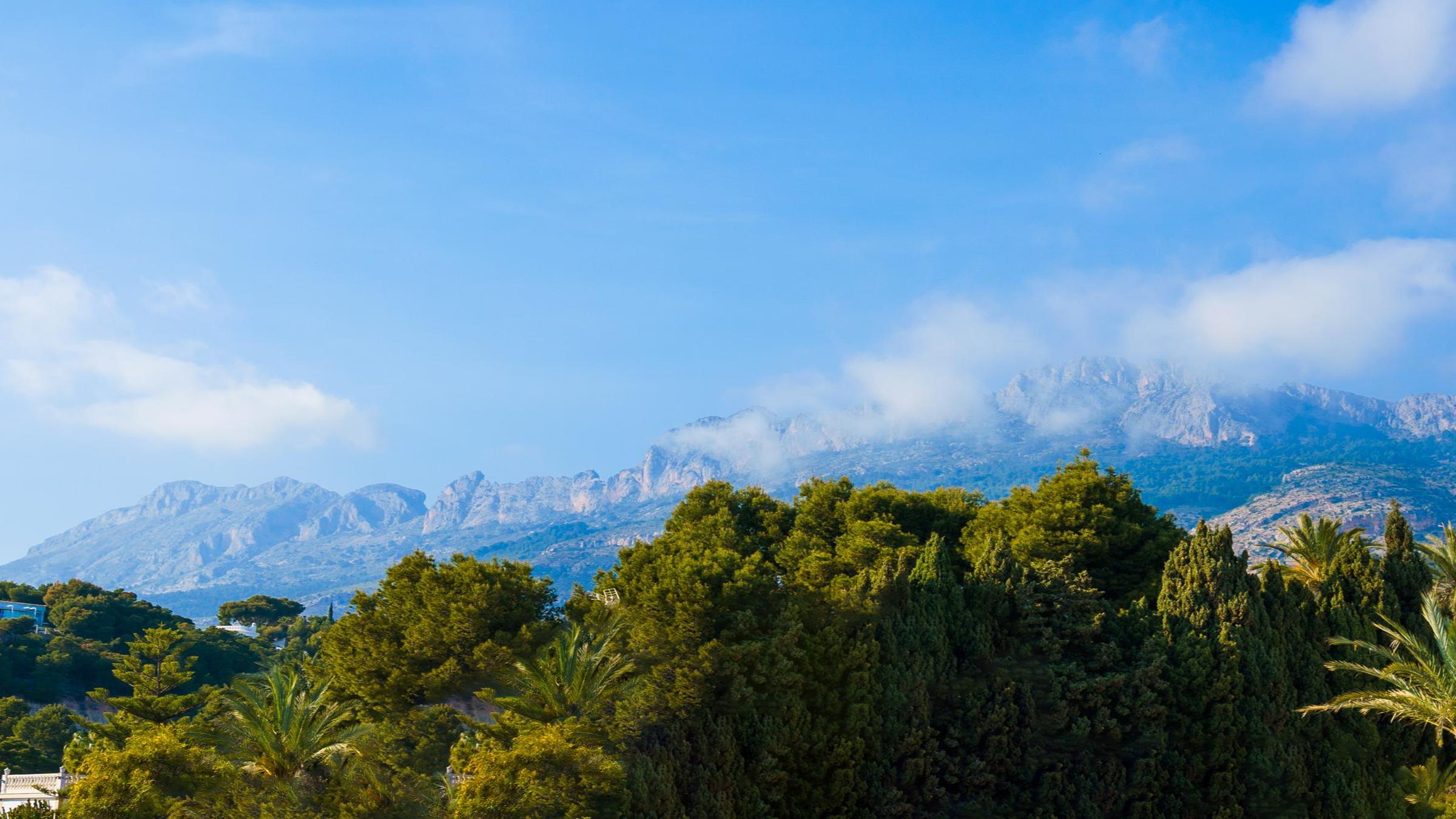 nardia_Altea1754_Edit1800x1350newsize_2400by1350.jpg