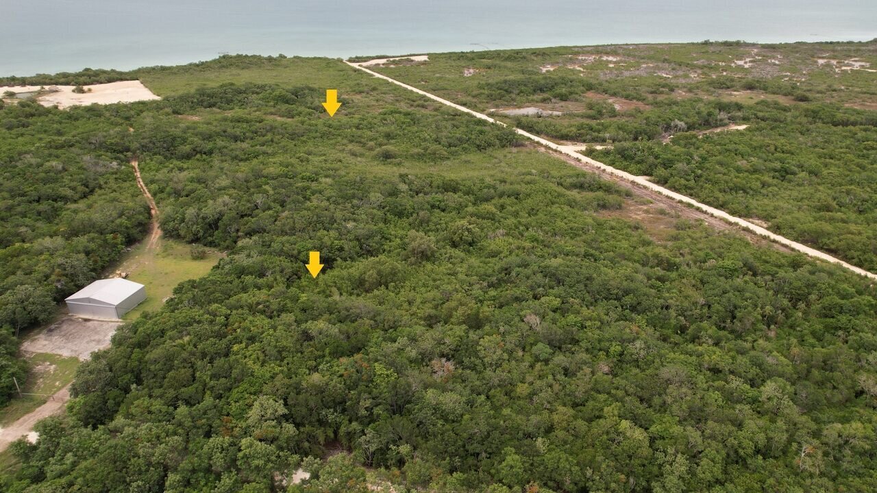9.74 Acres along Sarteneja's Municipal Airstrip, Corozal District