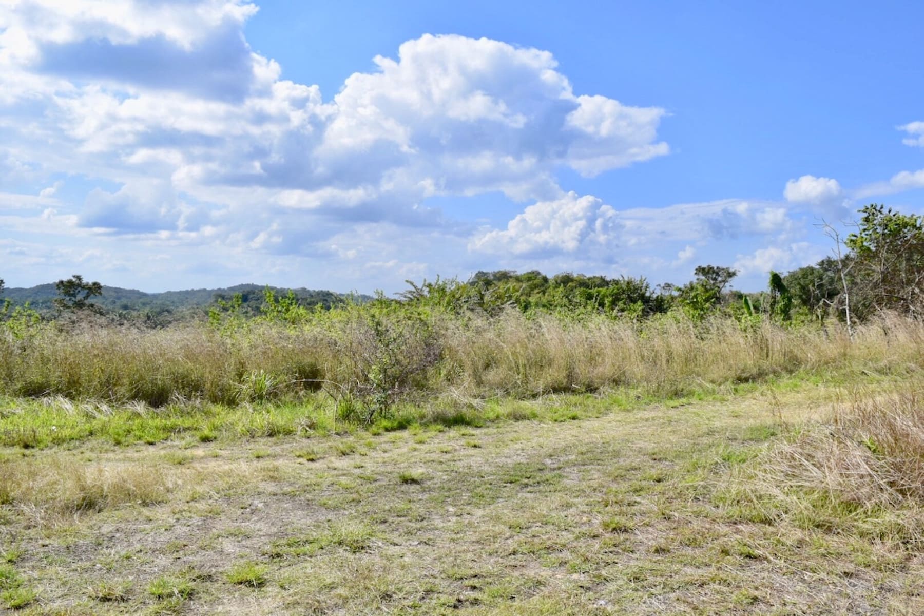Image from belizerealestate.bz