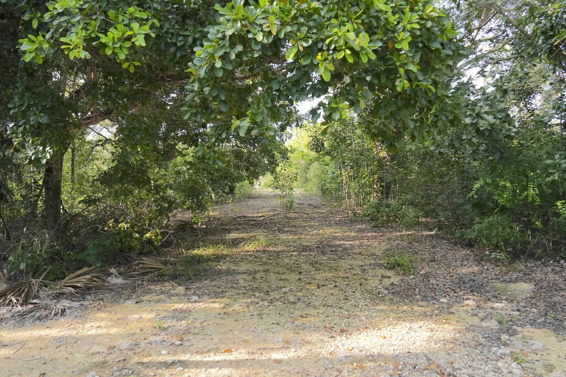 Image from belizerealestate.bz