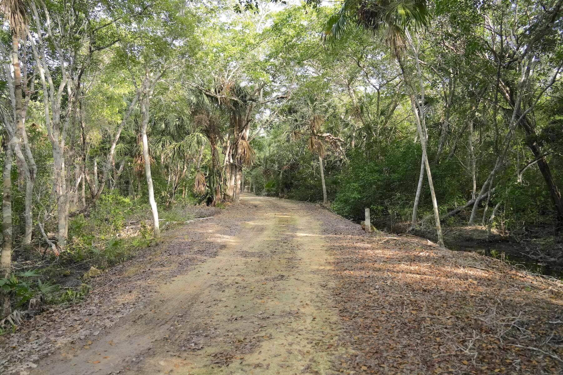 Image from belizerealestate.bz