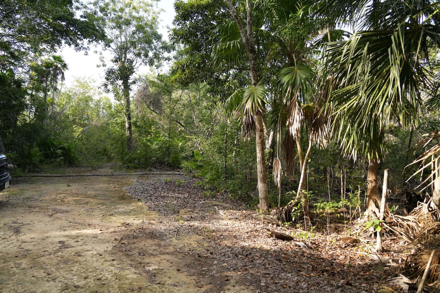 Image from belizerealestate.bz