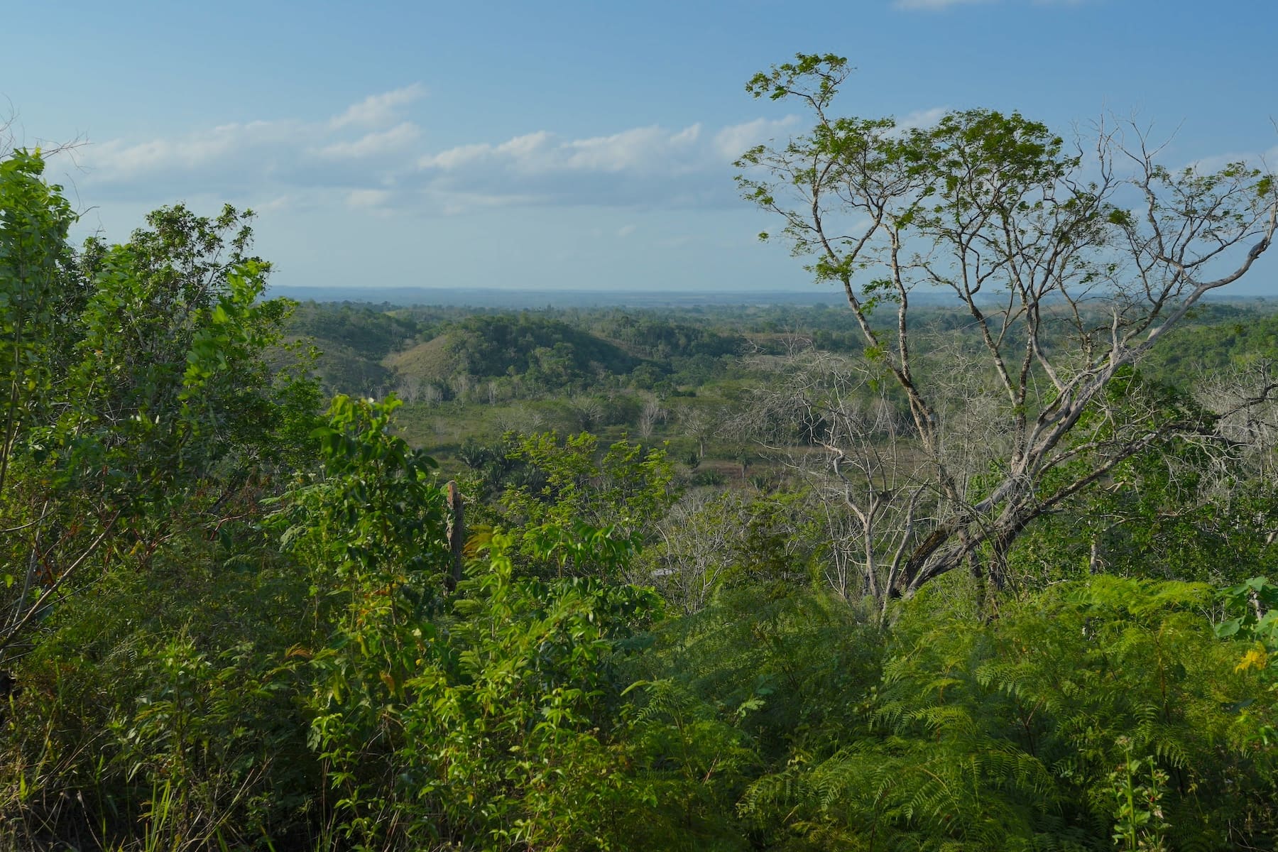 Image from belizerealestate.bz
