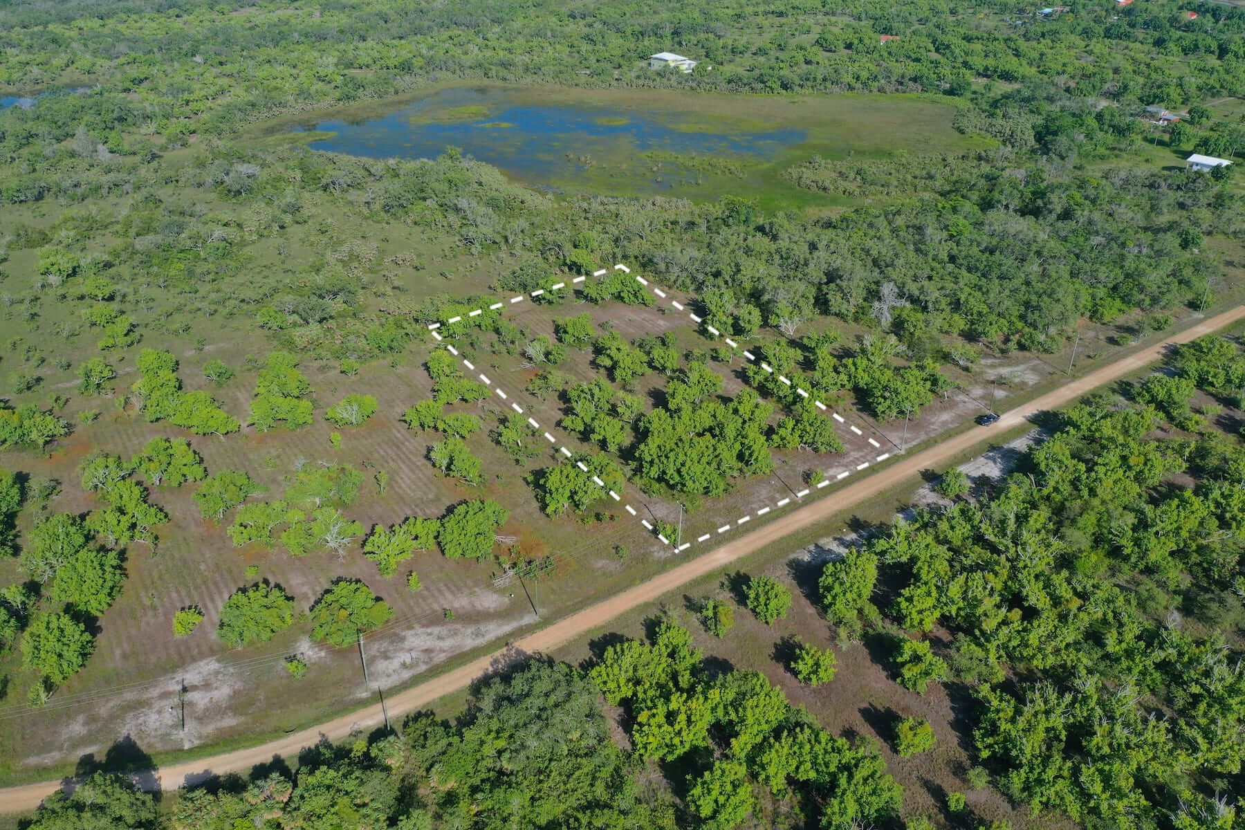 Image from belizerealestate.bz