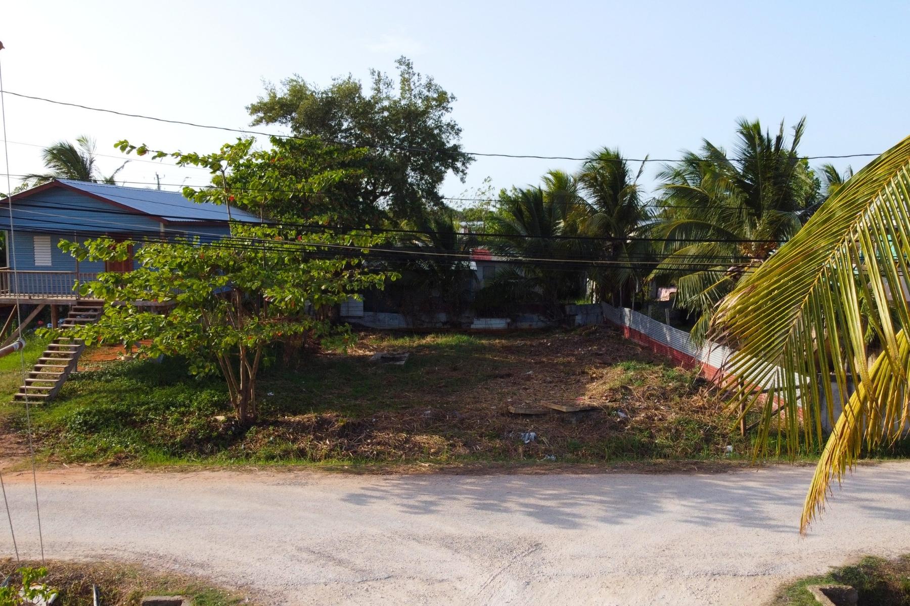 Image from belizerealestate.bz