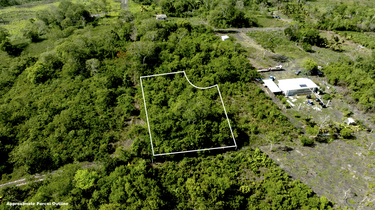 Image from belizerealestate.bz