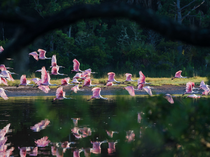 5789 Kiawah River Drive