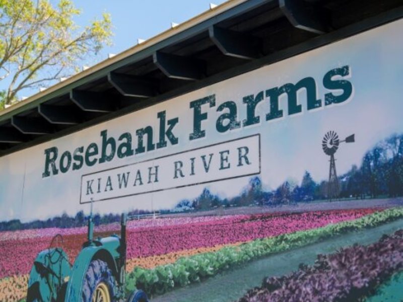 5789 Kiawah River Drive