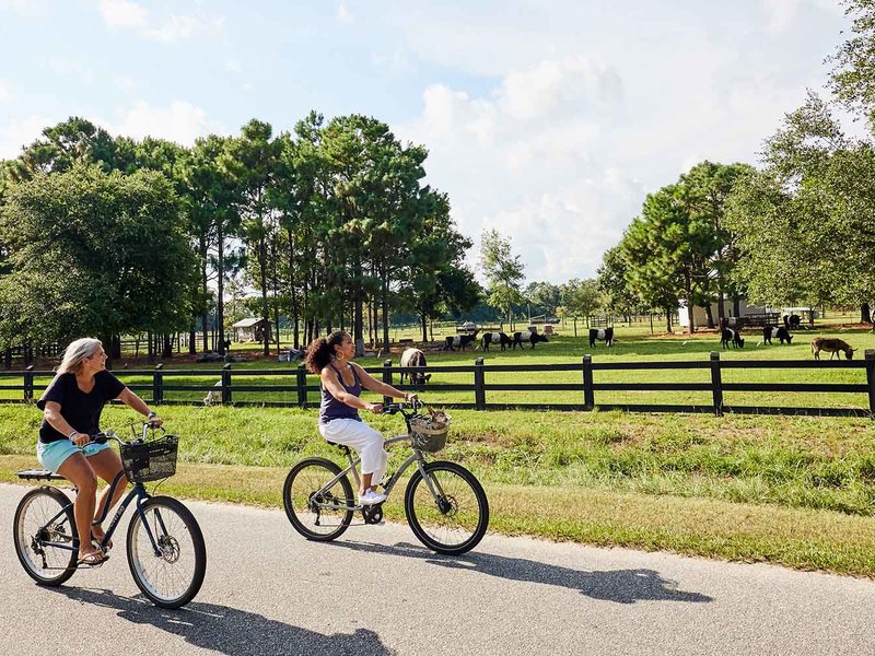 8015 Jack Island Drive