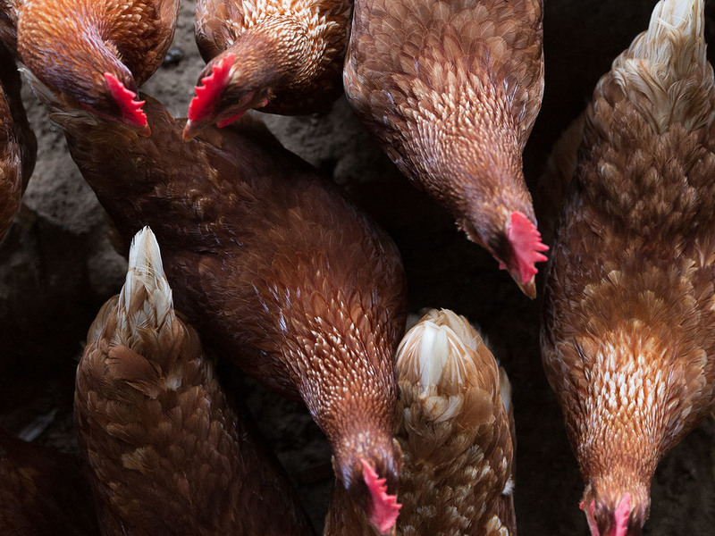 6028 Honey Hole Haven