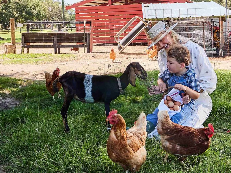 6028 Honey Hole Haven