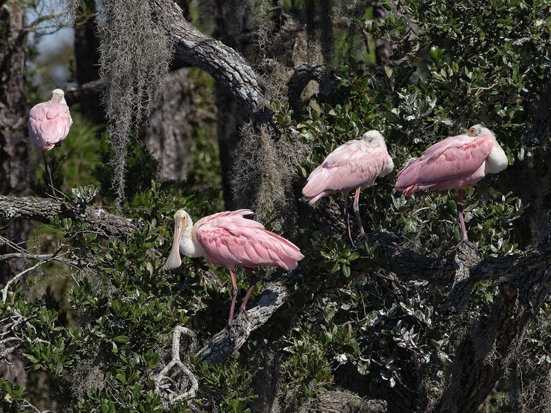 8127 Jack Island Drive