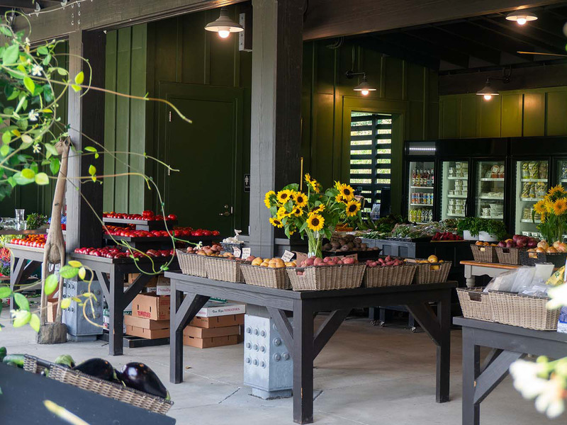 8111 Jack Island Drive