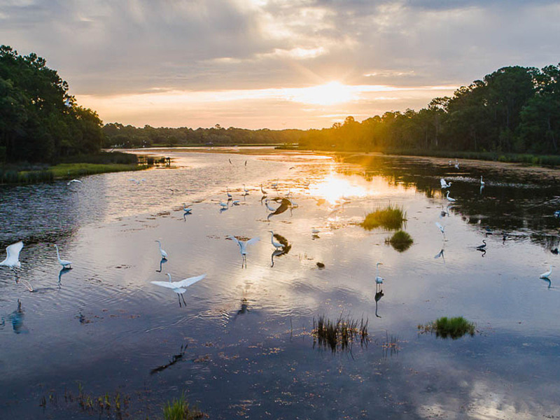 8111 Jack Island Drive