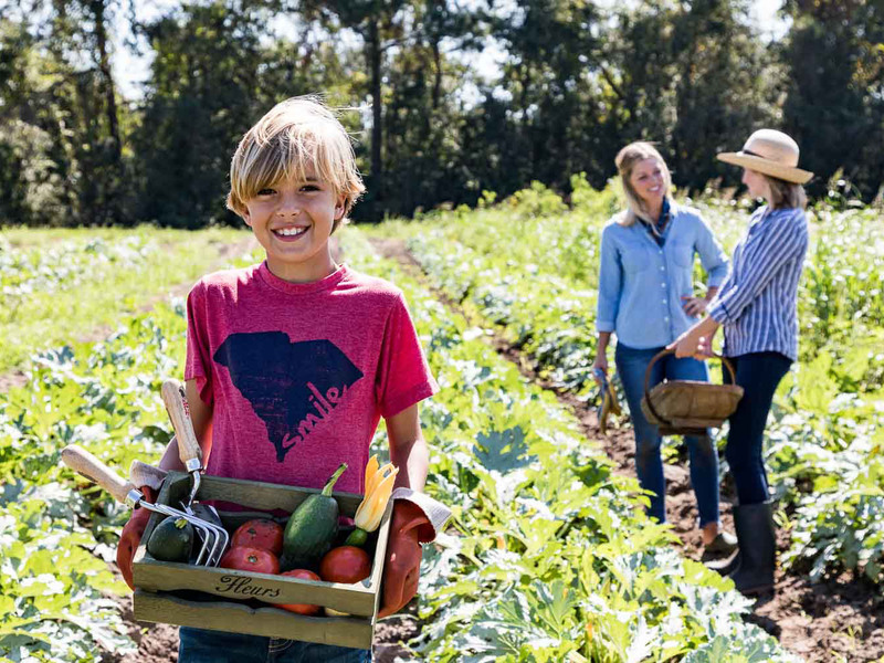 8115 Jack Island Drive