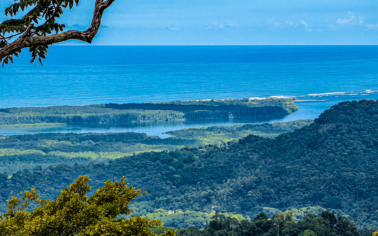 185 Acres With Ocean Views and Fertile Land Ready for Development