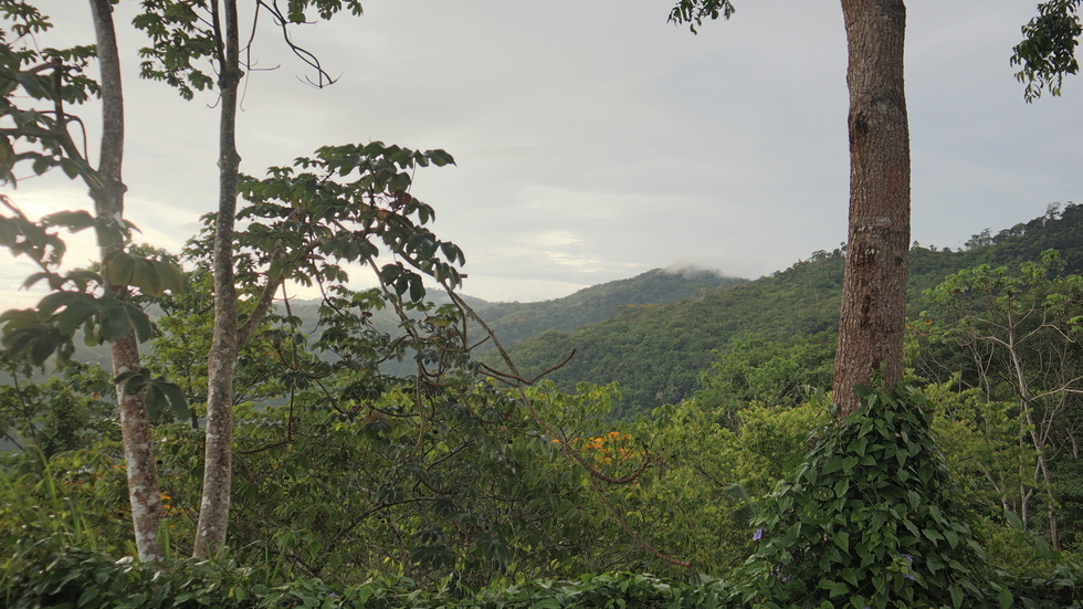 Amazing Ocean Mountain And Jungle View Home Near Ojochal