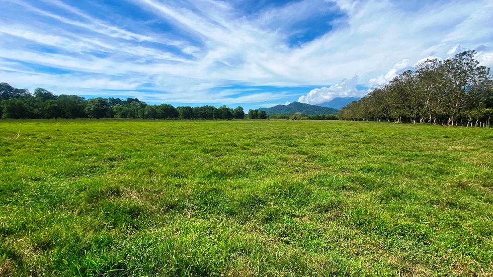 Large and Flat Pasture Land with Easy Access and Creek