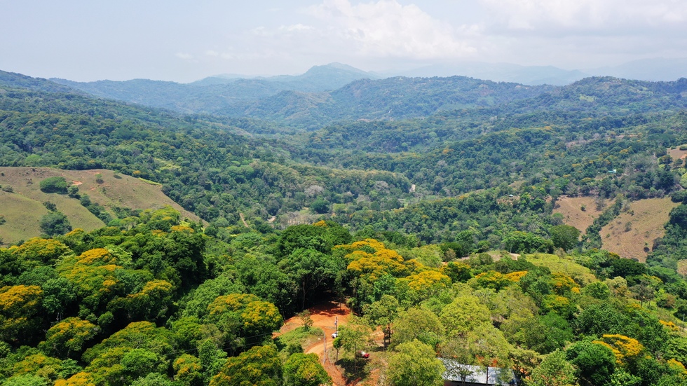 2.5 Acre Jungle and Valley View Home site in Dominical