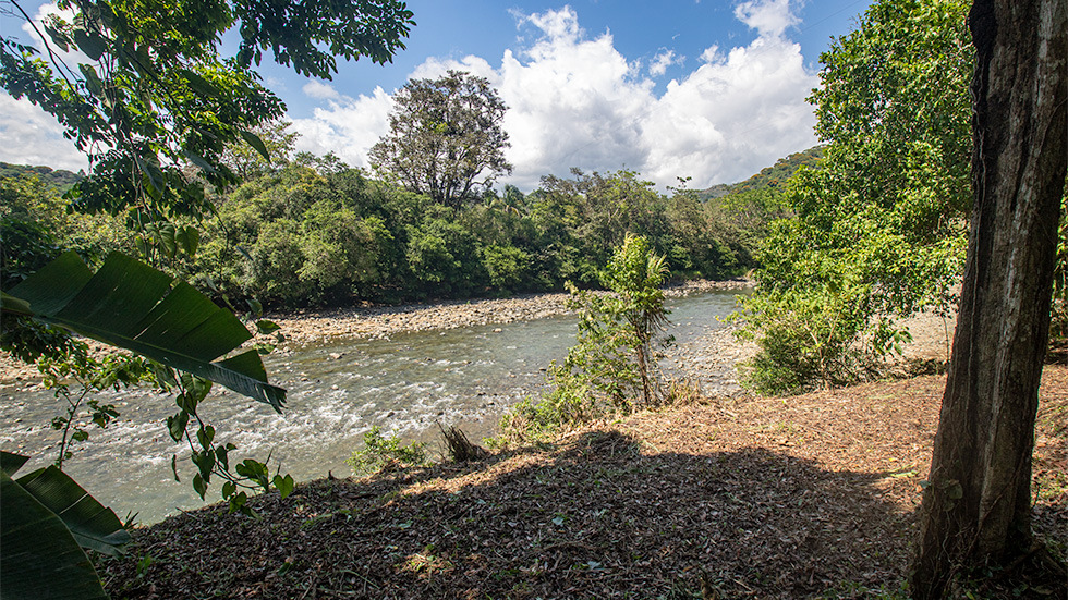 Riverfront Paradise Walking Distance to Playa Dominical