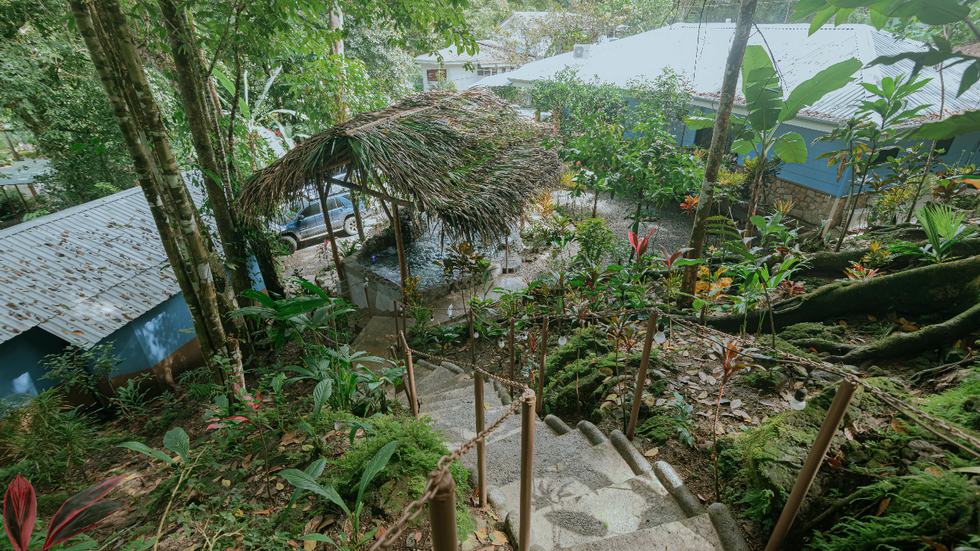 Hotel in Manuel Antonio Surrounded by Jungle Landscapes