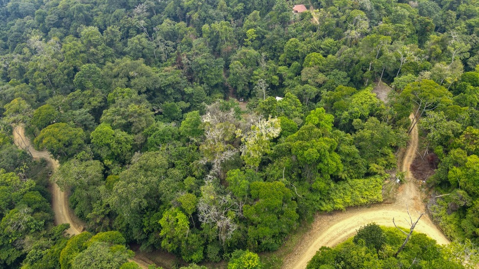 Exceptional 0.85 Acre Lot with Jungle Views in Uvita