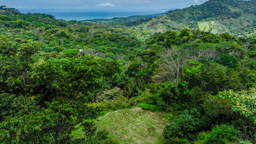 Stunning 3.6 Acre Ocean View Property in Dominical Costa Rica