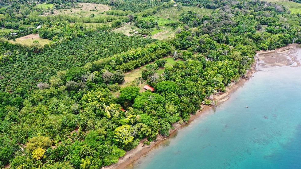 Stunning 13 Acres Beachfront Property in Playa Canaza of Osa