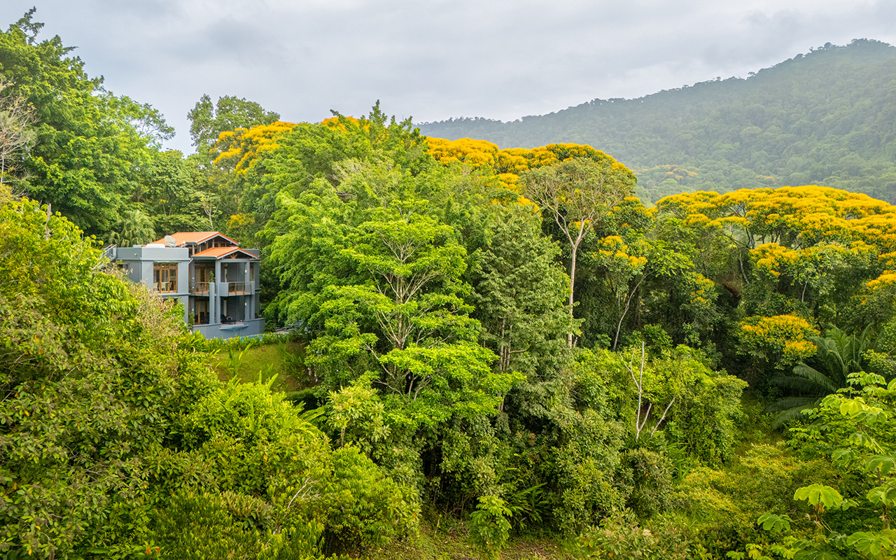 Incredible Value for a Villa with Ocean Views Between Uvita and Dominical