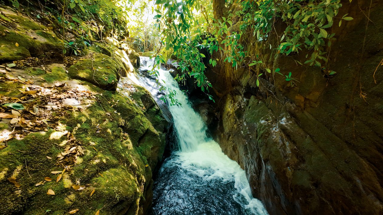 Riverfront Mushroom Farm & Private Waterfall Residence in Orosi
