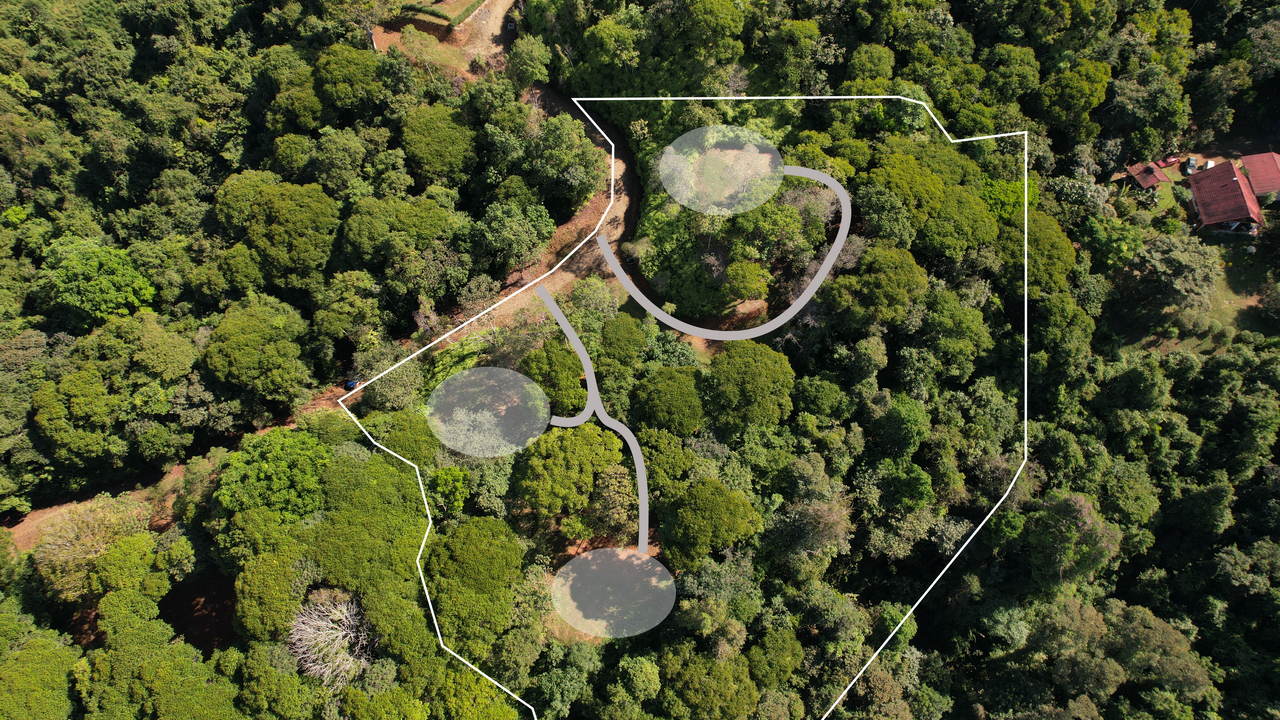 6 Acres 3 Building Sites Subdividable in Platanillo