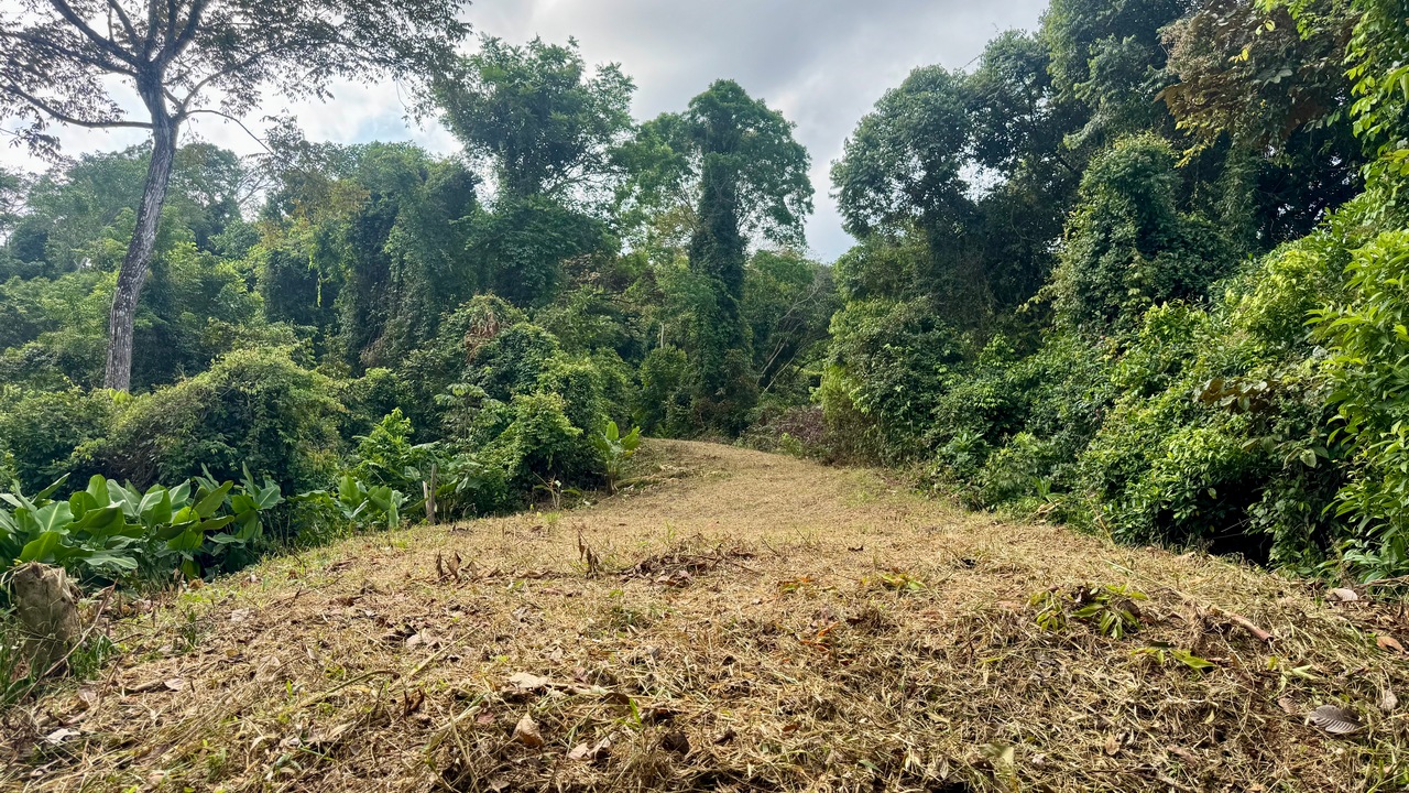 8.95 Acres Prime Location with Waterfall & River in Dominical