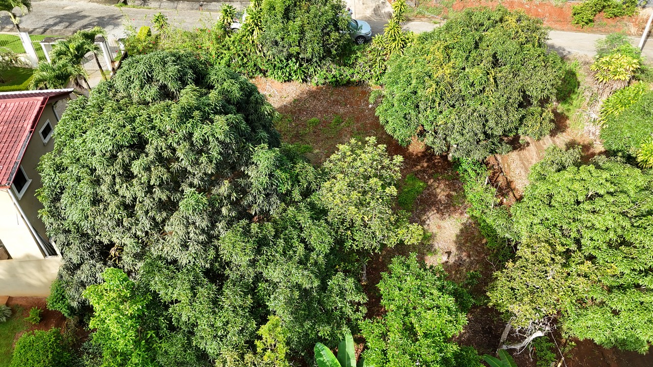 Ready to Build Lot with a Creek and Close to San Isidro