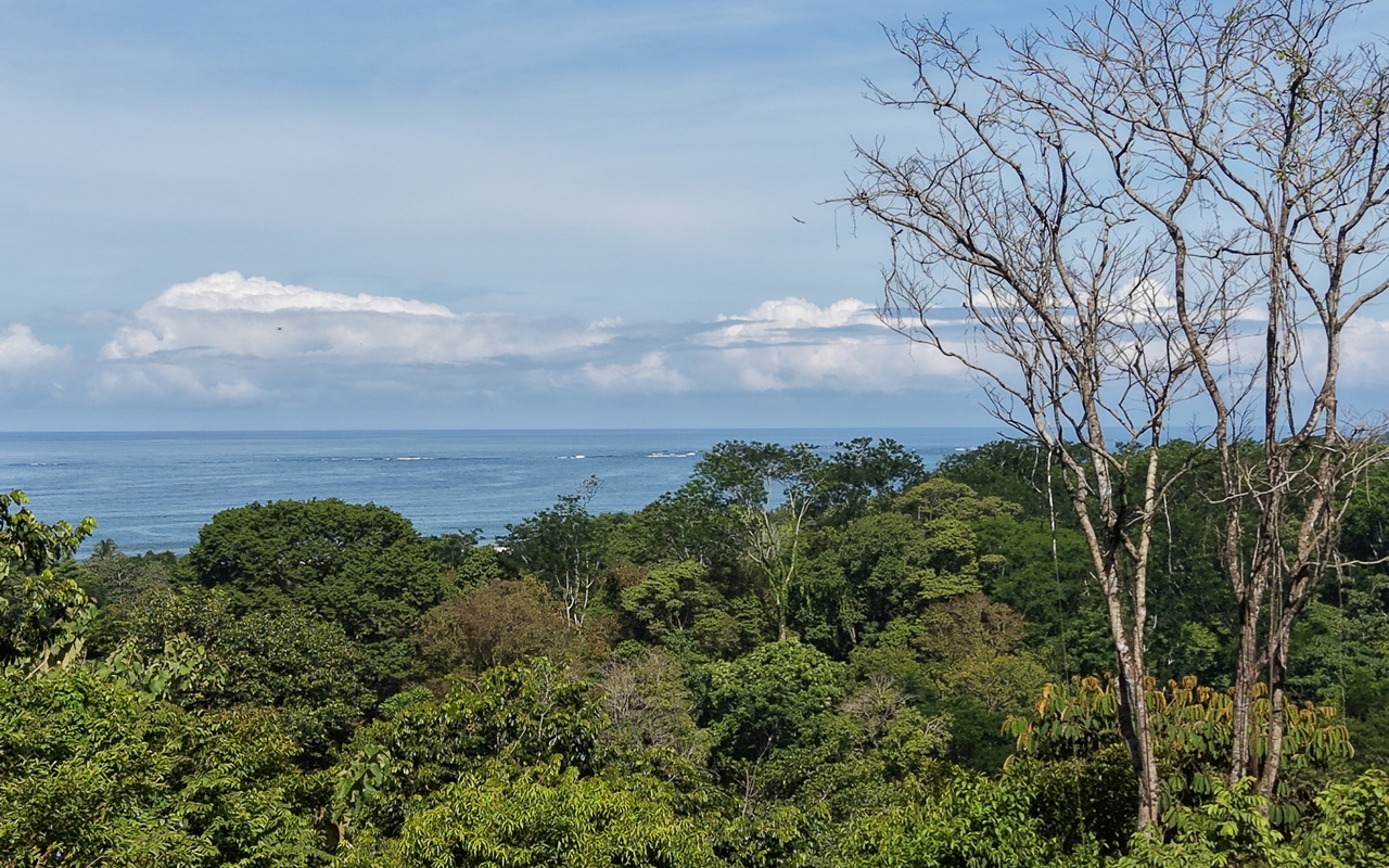 Ocean View Lot with Easy Access in Uvita
