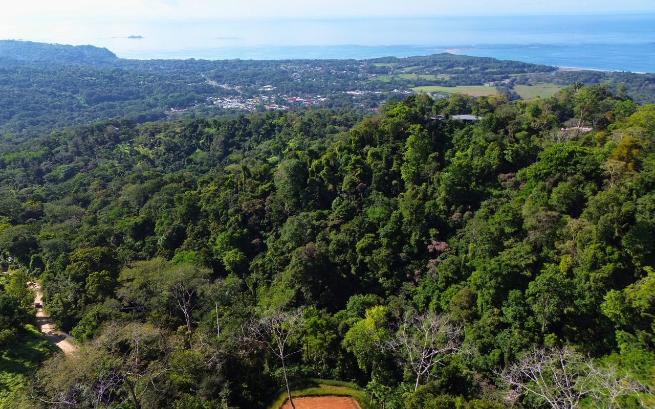 Ocean View Lot with Privacy and Ready to Build in Uvita
