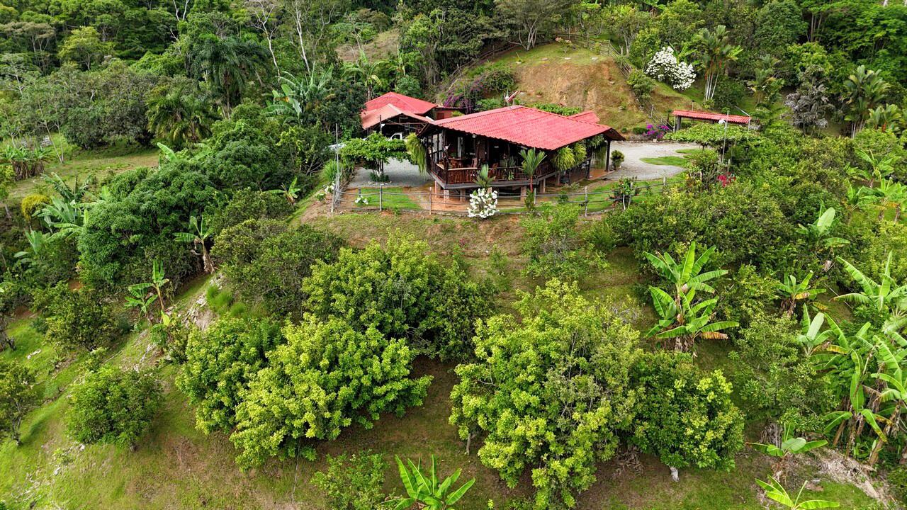 Charming Hardwood Cabin with Fruit Garden Near San Isidro and Dominical