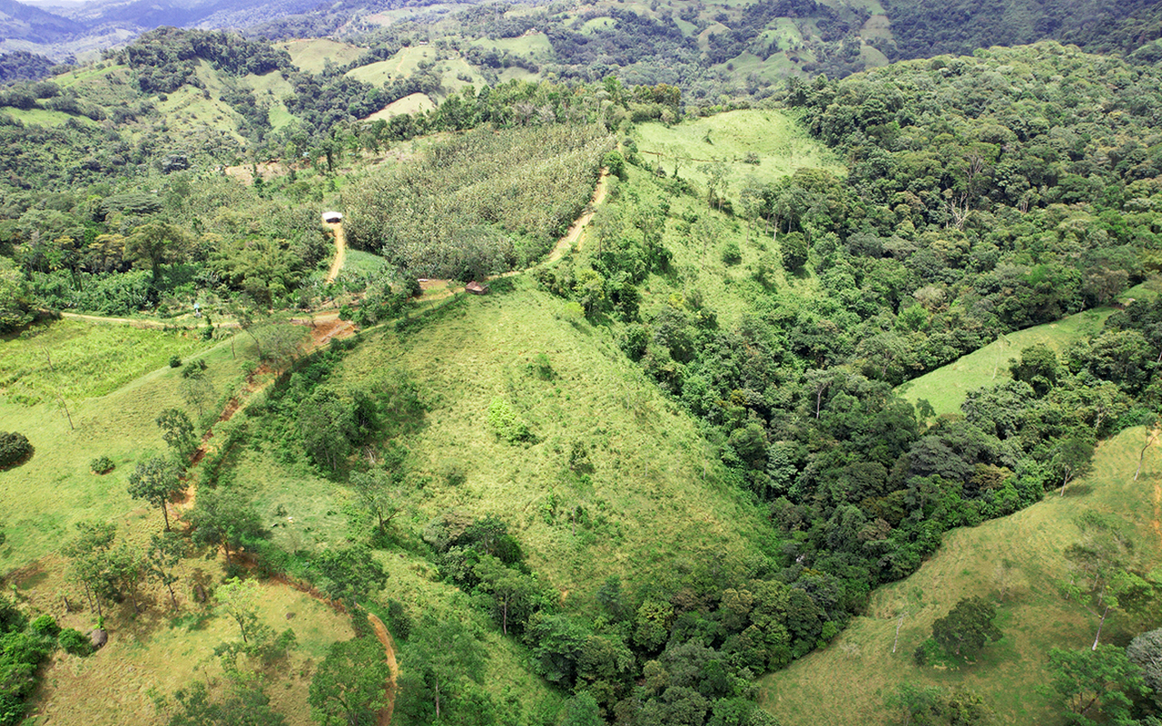 Finca Magnolia 1 Hectare Parcels & Epic Waterfalls