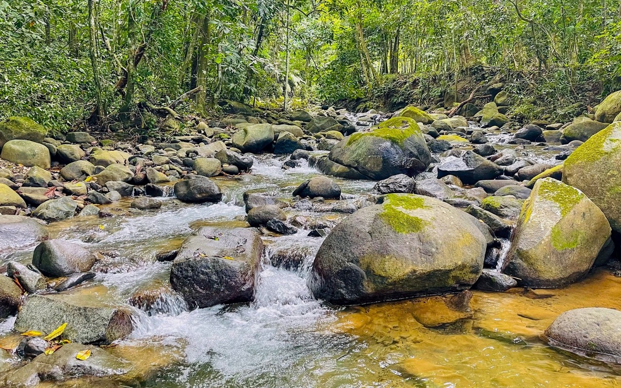 3.11 Acre Property with Mountain Views in Ojochal