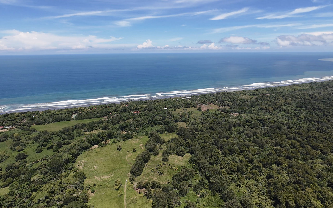 81 Acre Property with Beach Access in Matapalo