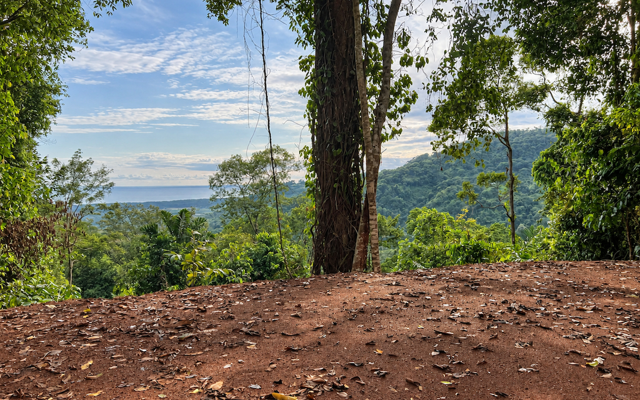 5 Acre Property with Ocean Views Close to Matapalo Beach