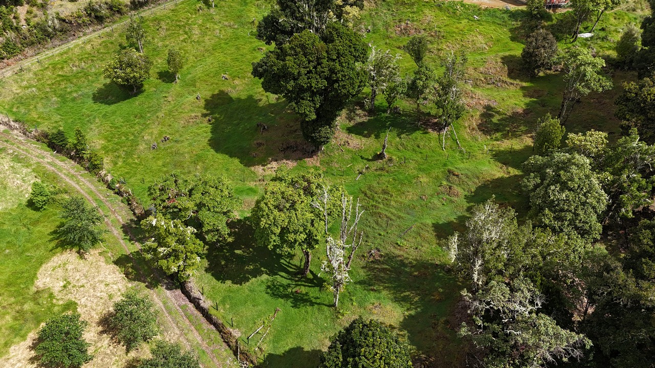 Forested Property with a Perfect Cool Mountain Climate Near San Isidro