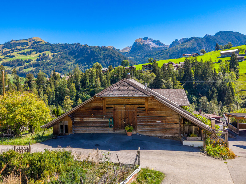 Maison individuelle de 8 pièces à Zweisimmen - &nbsp;